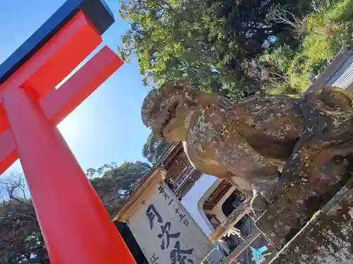 江島神社の狛犬