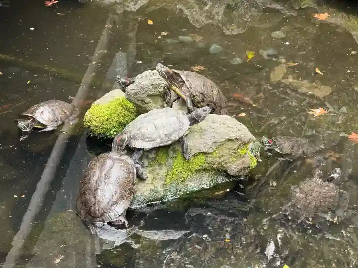成田山川越別院の{uncategorized: "未分類", other: "その他", undefined: "問題あり", building: "その他建物", grave: "お墓", sacred_gate: "鳥居", guardian: "狛犬", statue: "像", buddha: "仏像", history: "歴史", nature: "自然", garden: "庭園", animal: "動物", pagoda: "塔", temizu: "手水舎", mountain_gate: "山門・神門", sanctuary: "本殿・本堂", subordinate: "末社・摂社", art: "芸術", scenery: "景色", jizo: "地蔵", ema: "絵馬", goshuin: "御朱印", omikuji: "おみくじ", items: "授与品その他", amulet: "お守り", goshuincho: "御朱印帳", eats: "食事", festival: "お祭り", votive_dance: "神楽", shichigosan: "七五三参", wedding: "結婚式", experience: "体験その他", initially: "初詣", around: "周辺", anti_infection: "感染症対策"}