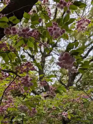 太郎稲荷神社(東京都)