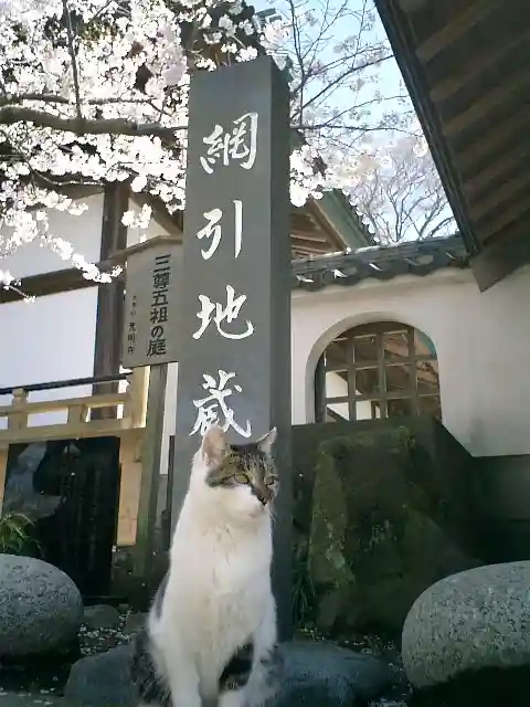 光明寺の動物