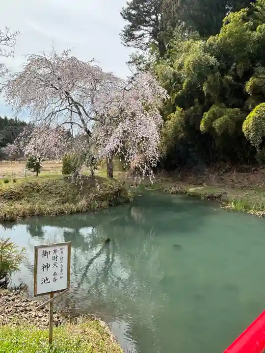 坪沼八幡神社の庭園