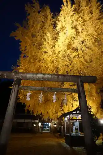 丹生酒殿神社の鳥居