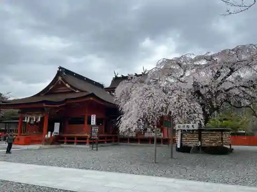 富士山本宮浅間大社の本殿