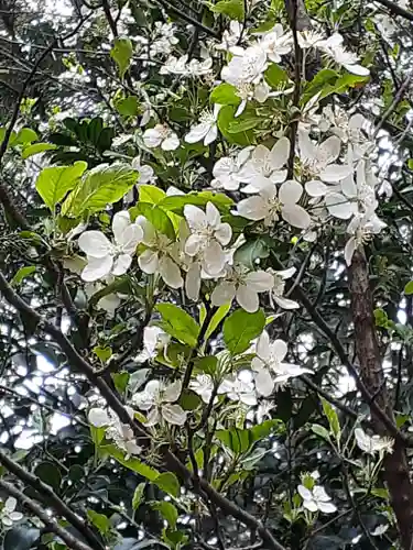 伏木香取神社の自然