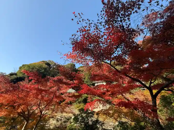 建長寺(神奈川県)