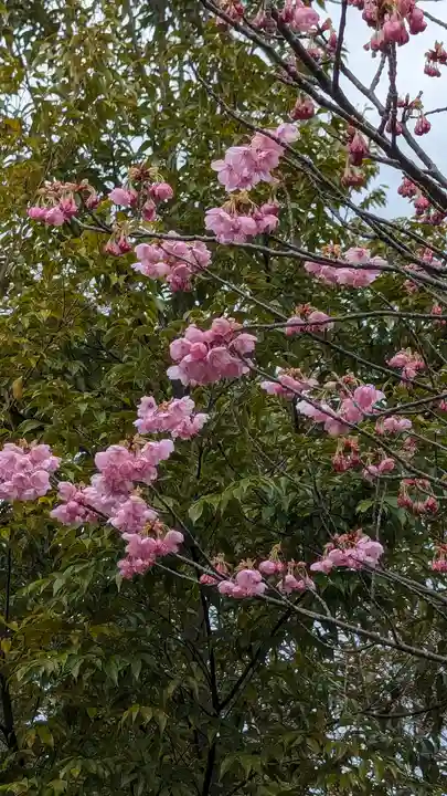 熊野若王子神社(京都府)