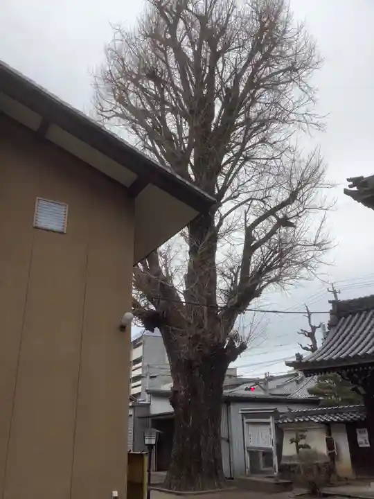 圓竜寺(岐阜県)
