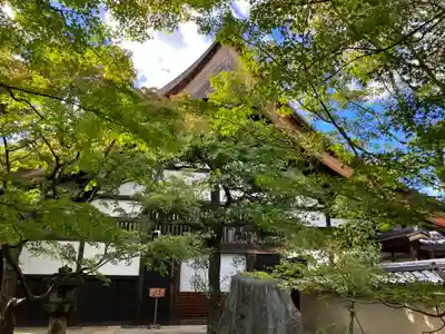 大徳寺(京都府)
