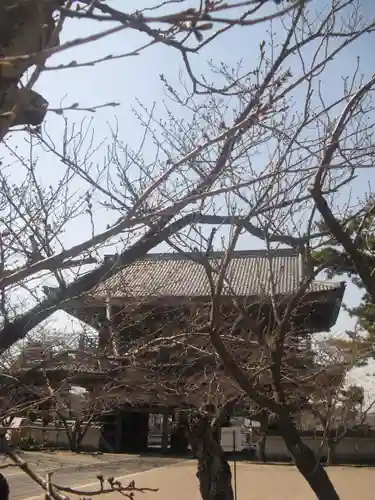 光明寺の山門・神門