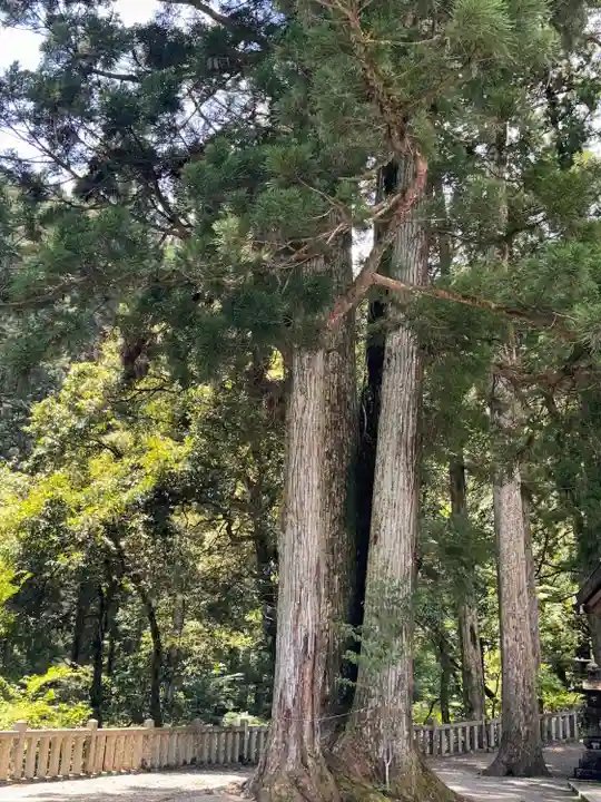 星宮神社(岐阜県)