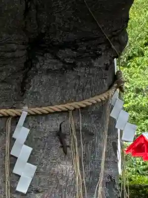 神祇大社の{uncategorized: "未分類", other: "その他", undefined: "問題あり", building: "その他建物", grave: "お墓", sacred_gate: "鳥居", guardian: "狛犬", statue: "像", buddha: "仏像", history: "歴史", nature: "自然", garden: "庭園", animal: "動物", pagoda: "塔", temizu: "手水舎", mountain_gate: "山門・神門", sanctuary: "本殿・本堂", subordinate: "末社・摂社", art: "芸術", scenery: "景色", jizo: "地蔵", ema: "絵馬", goshuin: "御朱印", omikuji: "おみくじ", items: "授与品その他", amulet: "お守り", goshuincho: "御朱印帳", eats: "食事", festival: "お祭り", votive_dance: "神楽", shichigosan: "七五三参", wedding: "結婚式", experience: "体験その他", initially: "初詣", around: "周辺", anti_infection: "感染症対策"}