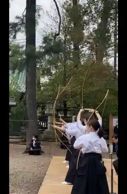 武蔵一宮氷川神社の{uncategorized: "未分類", other: "その他", undefined: "問題あり", building: "その他建物", grave: "お墓", sacred_gate: "鳥居", guardian: "狛犬", statue: "像", buddha: "仏像", history: "歴史", nature: "自然", garden: "庭園", animal: "動物", pagoda: "塔", temizu: "手水舎", mountain_gate: "山門・神門", sanctuary: "本殿・本堂", subordinate: "末社・摂社", art: "芸術", scenery: "景色", jizo: "地蔵", ema: "絵馬", goshuin: "御朱印", omikuji: "おみくじ", items: "授与品その他", amulet: "お守り", goshuincho: "御朱印帳", eats: "食事", festival: "お祭り", votive_dance: "神楽", shichigosan: "七五三参", wedding: "結婚式", experience: "体験その他", initially: "初詣", around: "周辺", anti_infection: "感染症対策"}