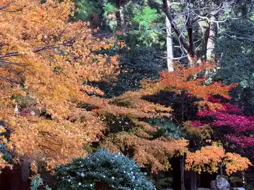 明通寺(福井県)