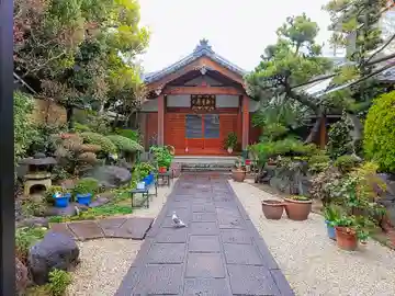法徳寺の本殿・本堂