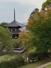 興福寺 南円堂(奈良県)