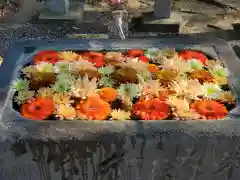 小泉神社(群馬県)