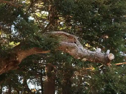 目の霊山　油山寺(静岡県)