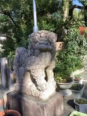 白山神社(新栄)の狛犬