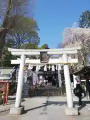 川越八幡宮(埼玉県)