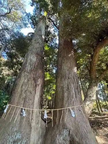 日吉神社(千葉県)
