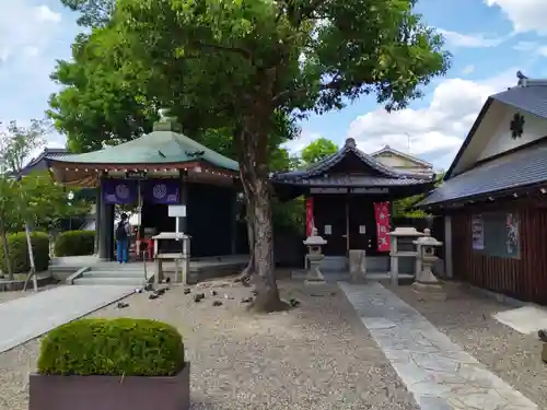 壬生寺(京都府)