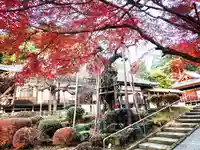 馬頭院(栃木県)