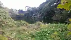 大杉神社の自然