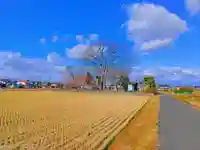 立山社・白山社(百町)の自然