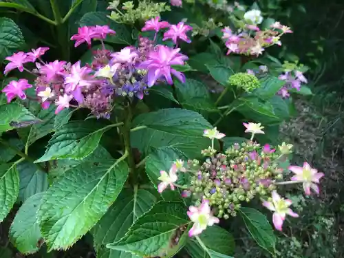 三室戸寺の自然