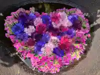 真言宗 善通寺派 薬王寺(香川県)