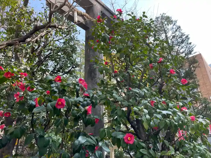 金刀比羅宮東京分社(東京都)