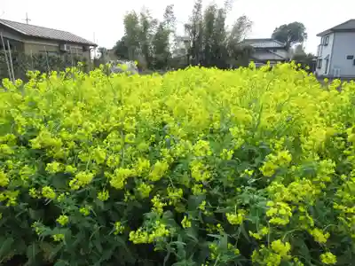 伏木香取神社(茨城県)