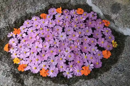 田村神社の手水