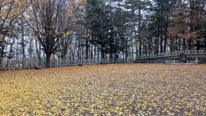 上川神社の庭園