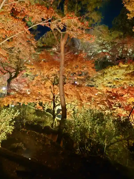 東福禅寺(東福寺)(京都府)