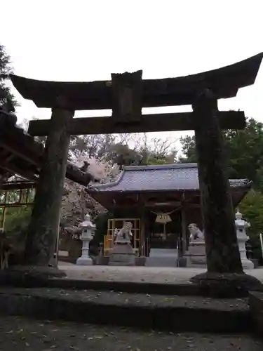 河内阿蘇神社(熊本県)