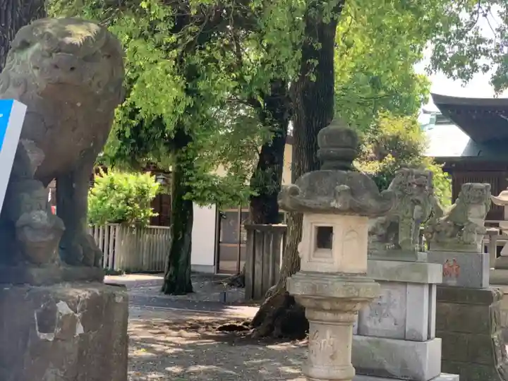 町田天満宮の狛犬