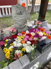 新川皇大神社の手水