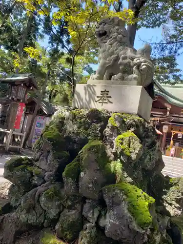 菟橋神社の狛犬