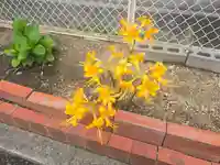 弘妙寺(大阪府)