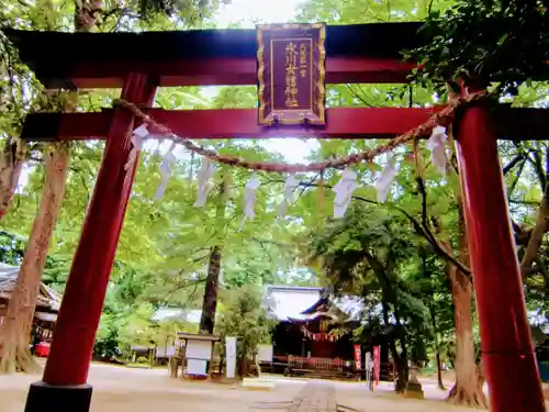 氷川女體神社の鳥居