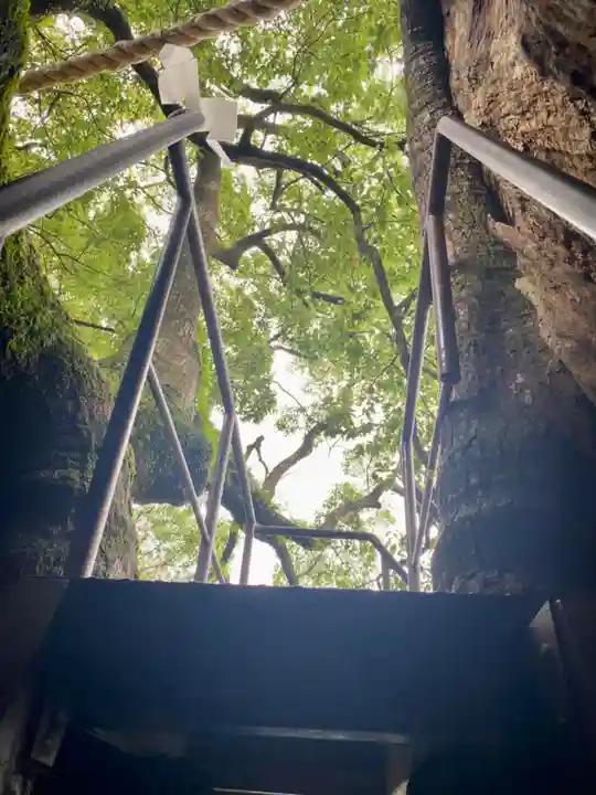 熊野那智大社(和歌山県)