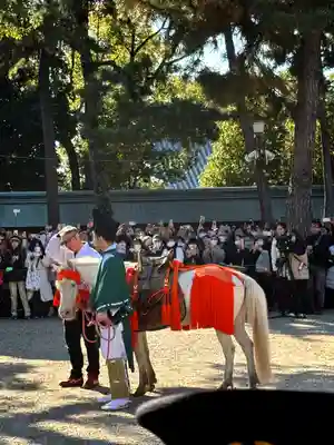 住吉大社の動物