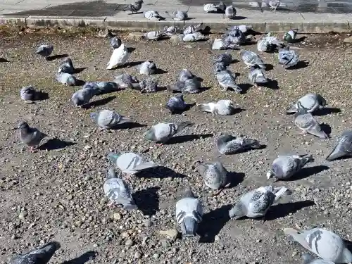 今市報徳二宮神社(栃木県)