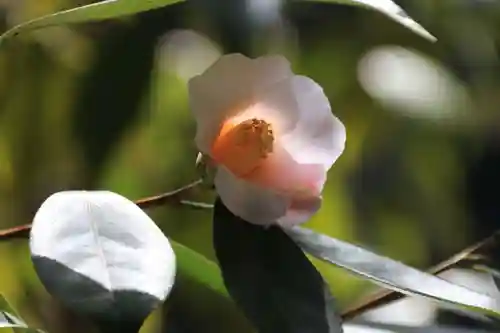 開成山大神宮の庭園