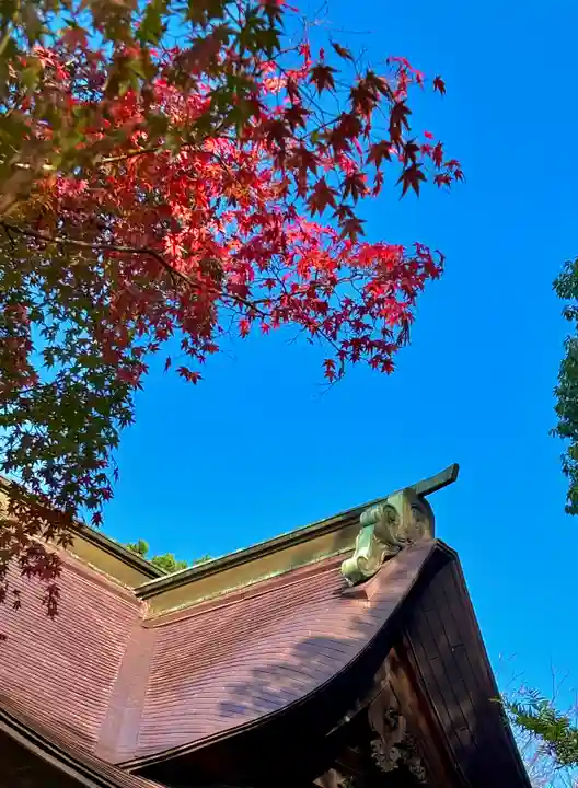 蚊里田八幡宮(長野県)