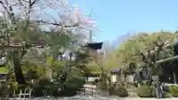 豪徳寺のその他建物