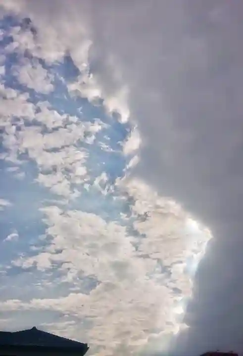 八坂社(桜木)の景色