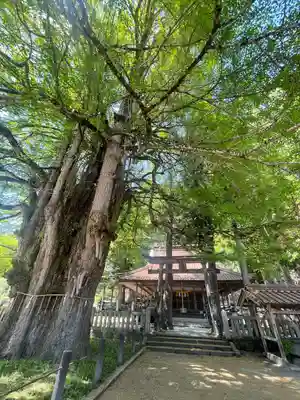 筒賀大歳神社(広島県)