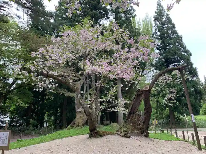 磐椅神社(福島県)